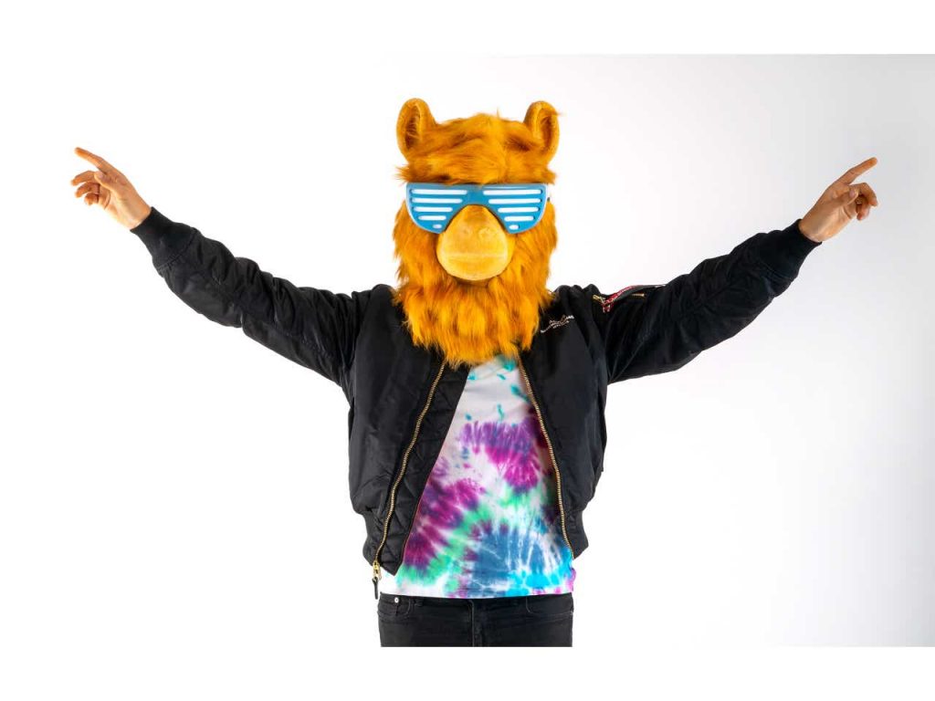 lego_vidiyo_llama